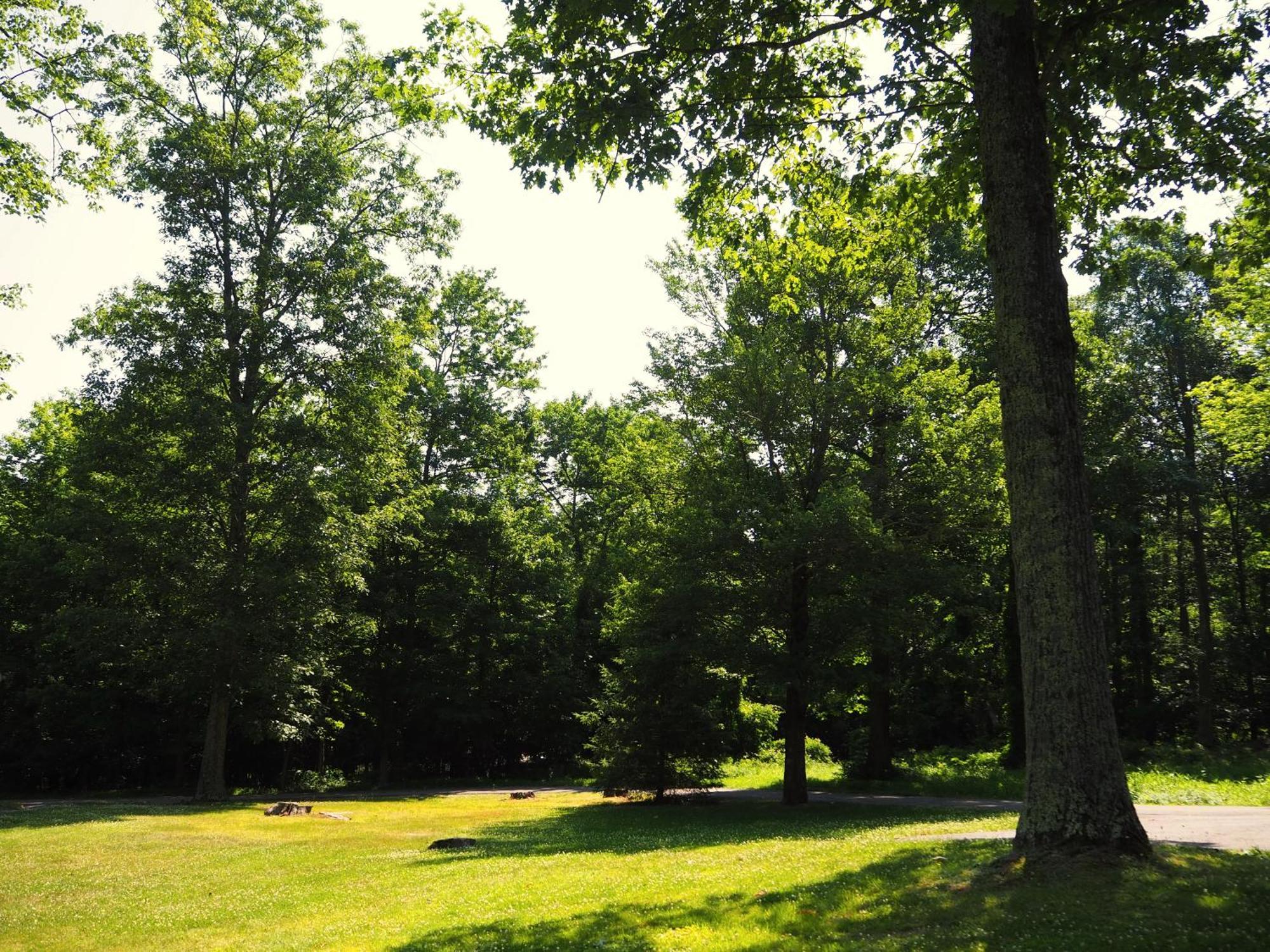 Woodfield Manor - A Sundance Vacations Property Cresco Bagian luar foto